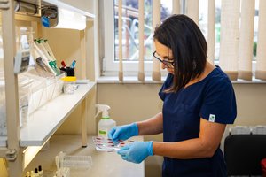Diagnosta laboratoryjny analizująca próbki.